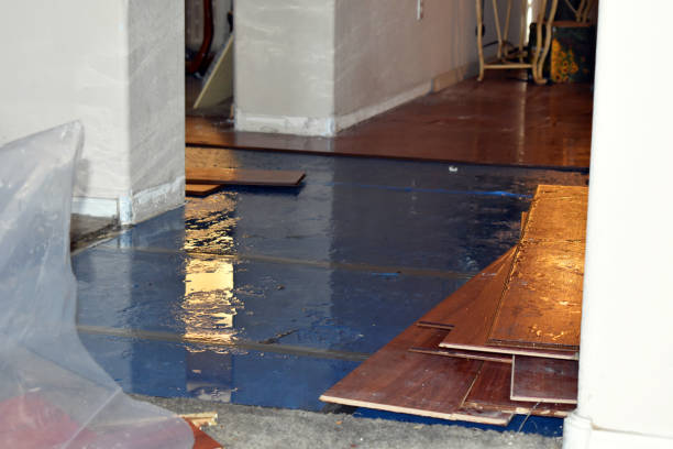 Professional Basement Flood Cleanup technician working in Jefferson, NH